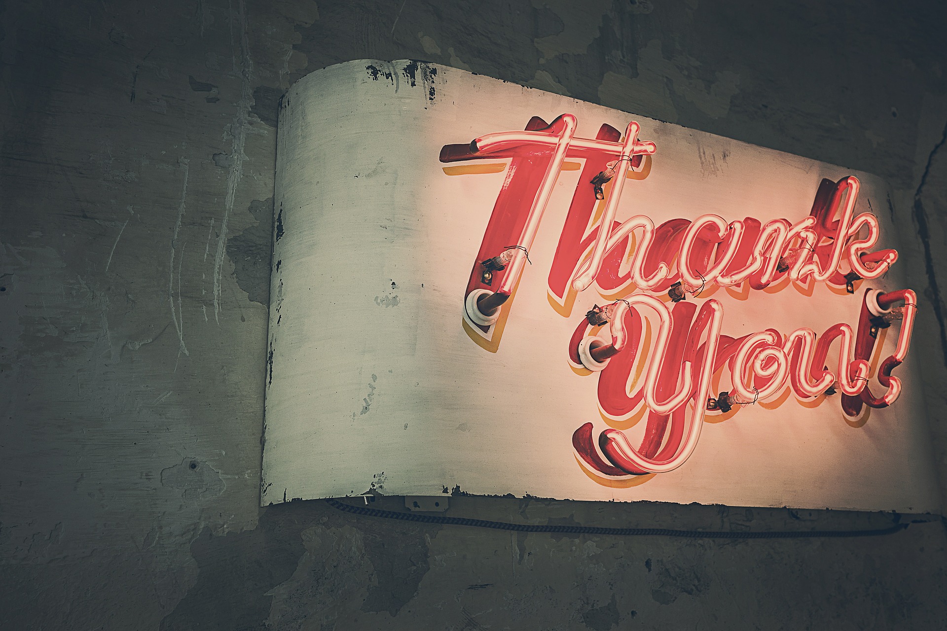 המילה Thank You מוטמעת על קיר בצבע אדום ניאון